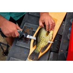 Надпотужний електричний філейний ніж Rapala Combo