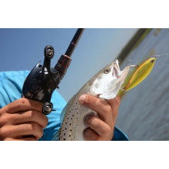 Мультиплікаторна підшипникова котушка Shimano Chronarch 151HGG