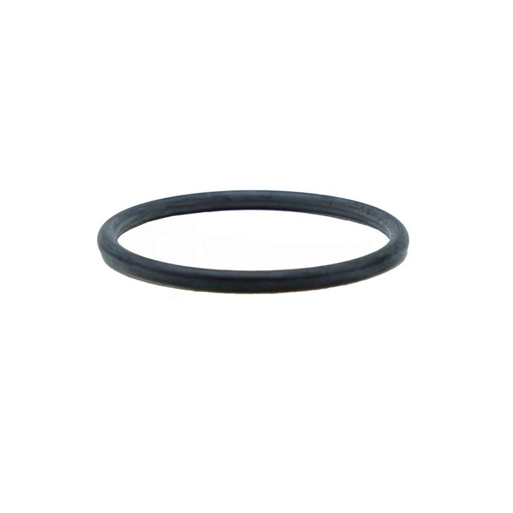 Engine thermostat seal ring gasket Ford F1VY8255A 