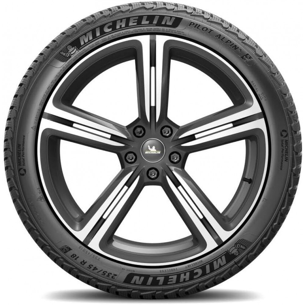 Комплект зимних шин Michelin Pilot Alpin 5 SUV 295/45 R20 114V XL