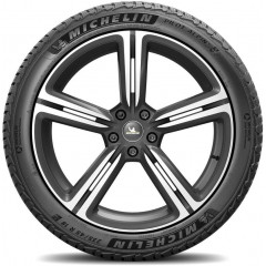 Комплект зимових шин Michelin Pilot Alpin 5 SUV 295/45 R20 114V XL