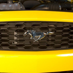 Масляний радіатор Mishimoto з термостатом для Ford Mustang EcoBoost 2015–2017 алюмінієвий