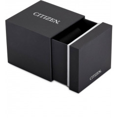 Men's wristwatch Citizen AW1821-89L stainless steel waterproof