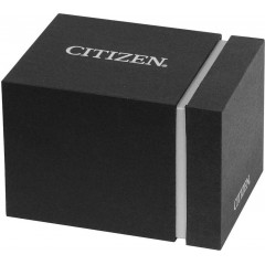 Men's wristwatch Citizen AW1821-89L stainless steel waterproof