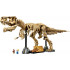 Lego Jurassic World 76968 T-Rex Skeleton for Adults Interior Decor 3145 Pieces