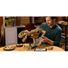 Lego Jurassic World 76968 T-Rex Skeleton for Adults Interior Decor 3145 Pieces
