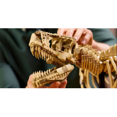 Lego Jurassic World 76968 T-Rex Skeleton for Adults Interior Decor 3145 Pieces