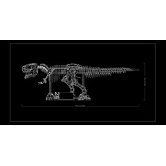 Lego Jurassic World 76968 T-Rex Skeleton for Adults Interior Decor 3145 Pieces