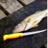 Нож филейный для рыбы Rapala Fish N Fillet BPFNF6SH1FT 15 см с ножнами и точилкой
