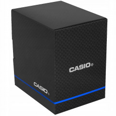 Чоловічий годинник Casio AW-49HE-2AVEG з подвійним циферблатом