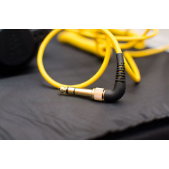 AIAIAI TMA-1ools Limited Edition DJ headphones.