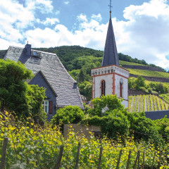 ZEIT's collection of German wines from the Rheingau region (5 bottles).
