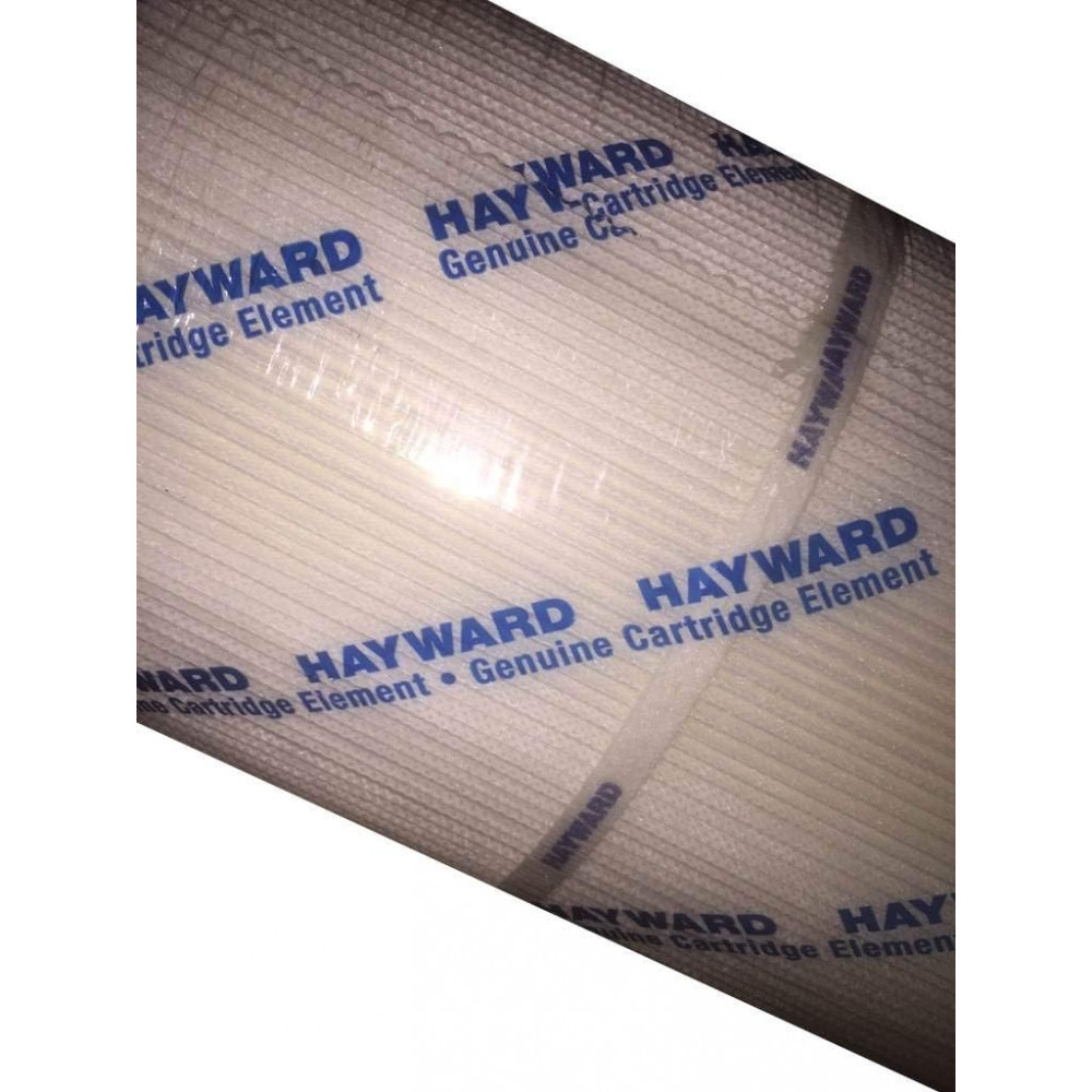 Змінний фільтр Hayward CX1900RE для басейнів