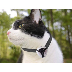 Цифрова камера для домашніх тварин EYENIMAL Pet Videocam (вага 30 гр)